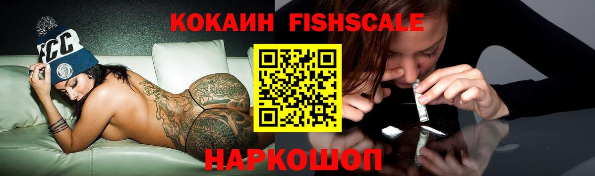 Клин  КОКАИН Fish Scale  Вход с VPN 