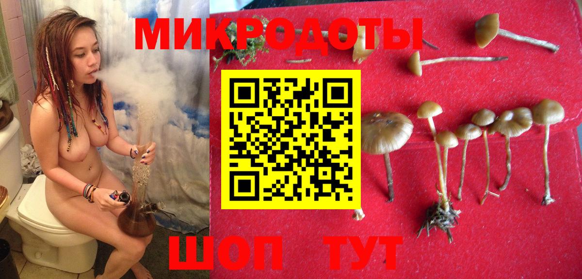 Клин  Псилоцибиновые грибы мицелий  Вход с VPN 